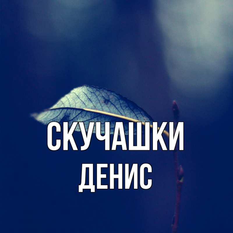 Картинка Скучашки, Денис