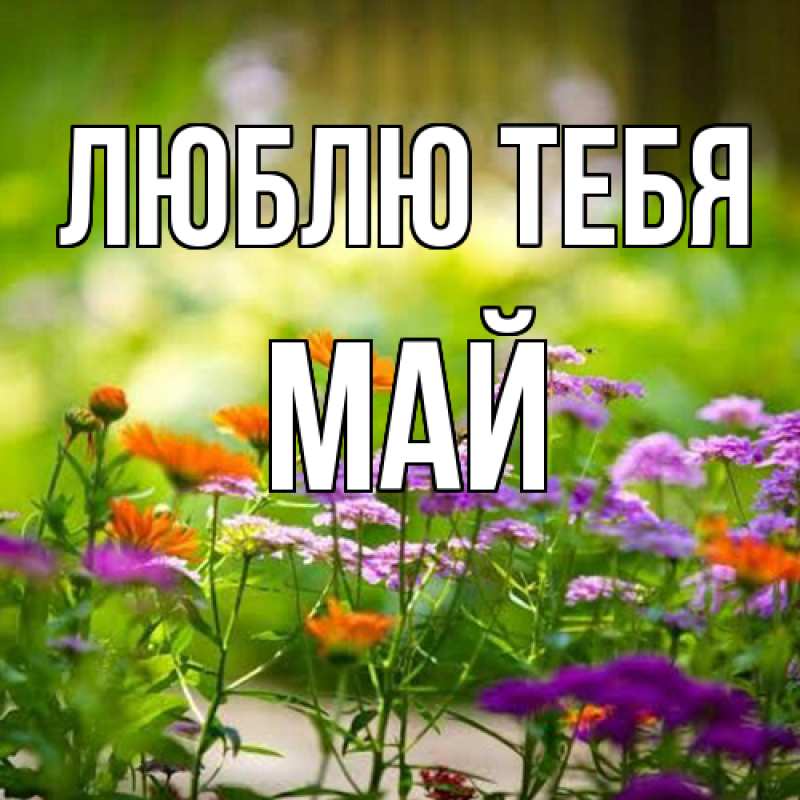 Картинка Люблю тебя, Май