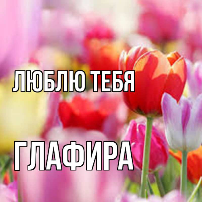 Картинка Люблю тебя, Глафира