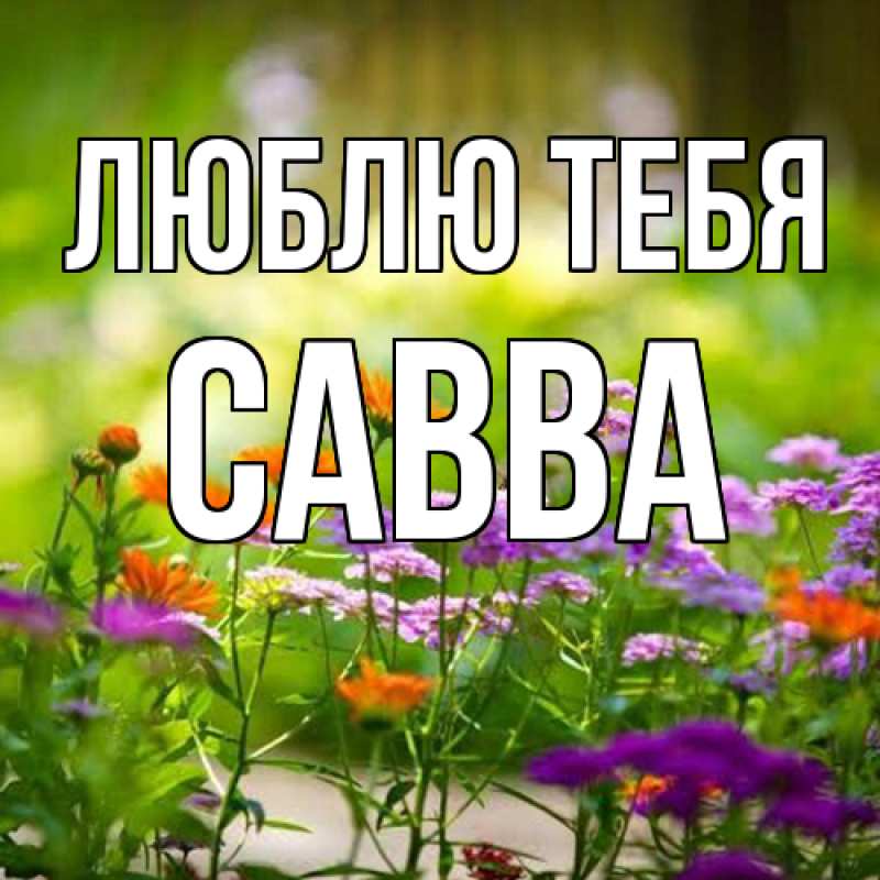 Открытка с именем, Савва, Люблю тебя