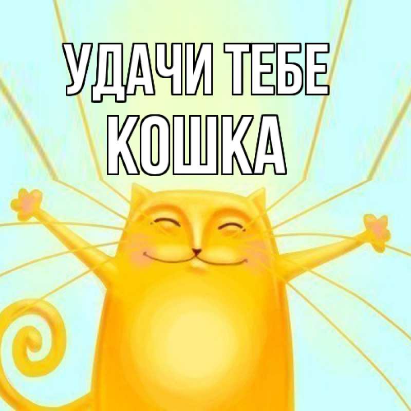 Картинка Удачи тебе, Кошка