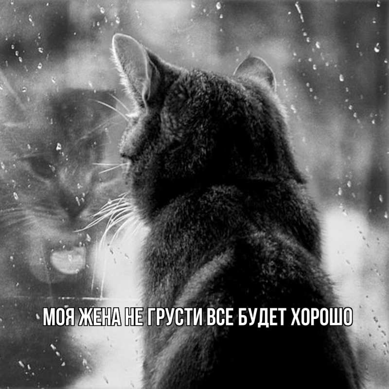 Картинка Не грусти, все будет хорошо, Моя жена