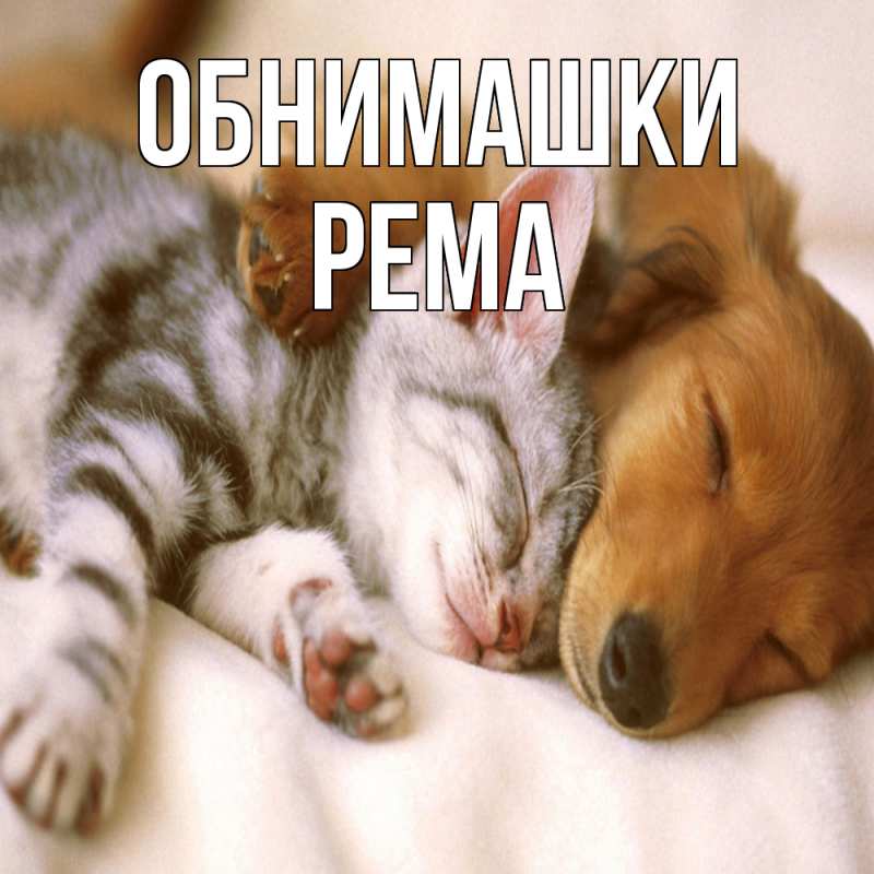 Открытка с именем, Рема, Обнимашки