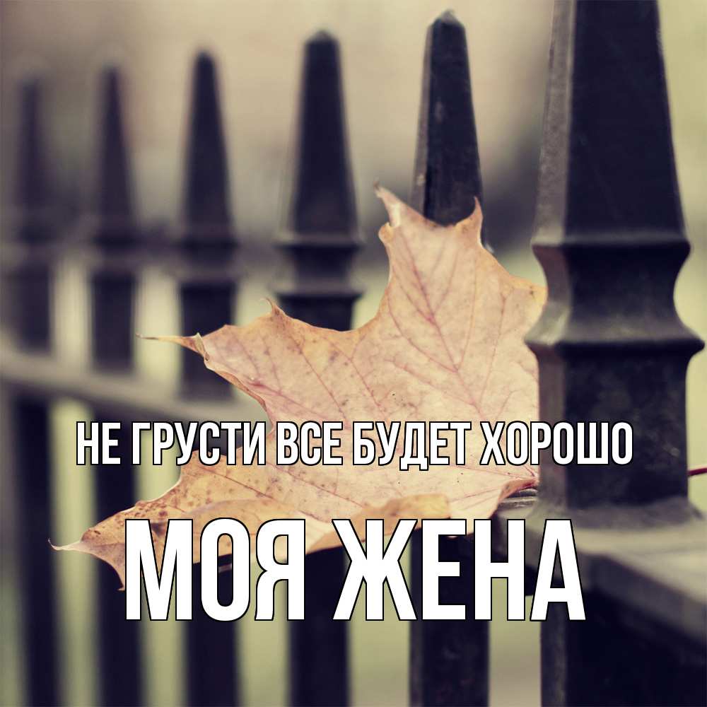 Открытка на каждый день с именем, Моя-жена Не грусти все будет хорошо лист клена Прикольная открытка с пожеланием онлайн скачать бесплатно 