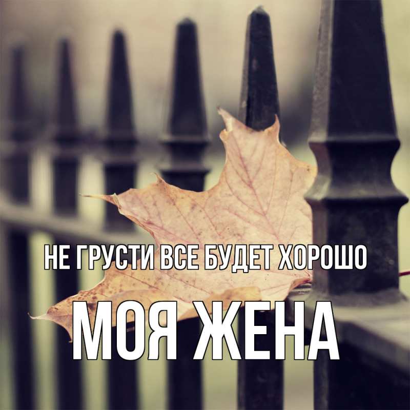 Картинка Не грусти, все будет хорошо, Моя жена