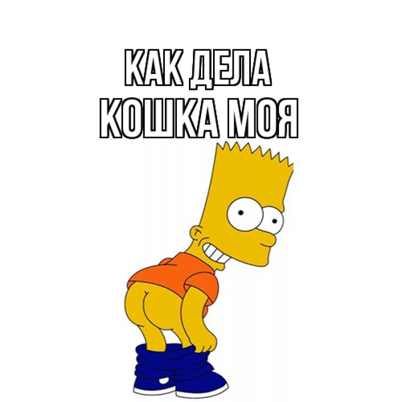 Картинка Как дела, Кошка моя