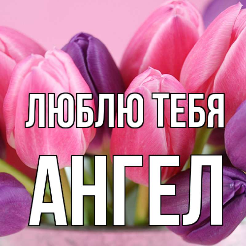 Картинка Люблю тебя, Ангел