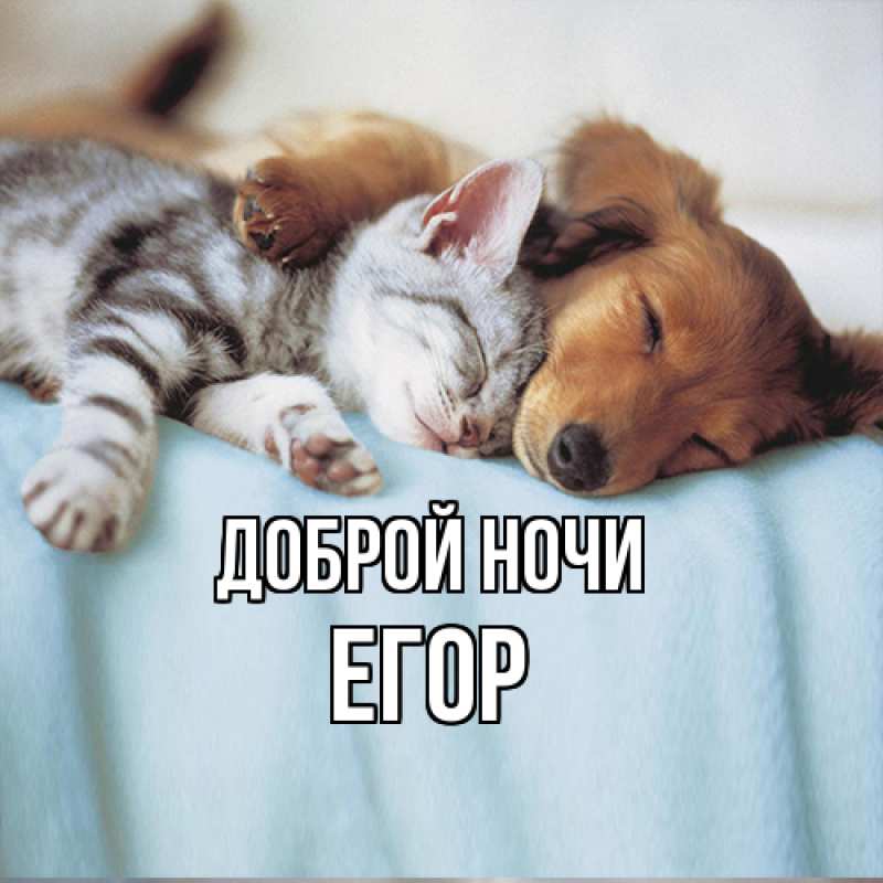 Картинка Доброй ночи, Егор
