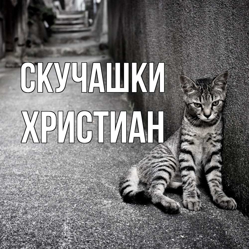 Открытка на каждый день с именем, Христиан Скучашки одиноко котику Прикольная открытка с пожеланием онлайн скачать бесплатно 