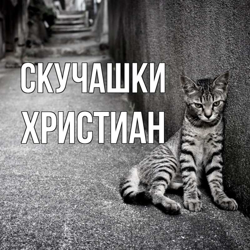 Картинка Скучашки, Христиан