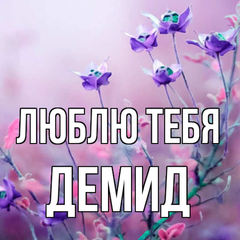 Картинка Люблю тебя, Демид