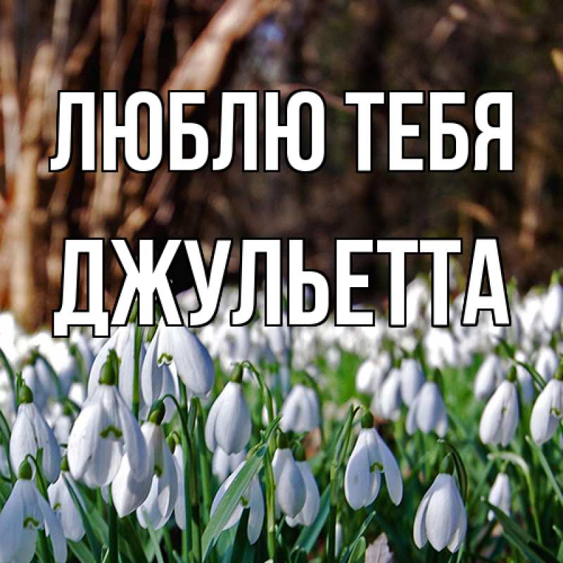 Картинка Люблю тебя, Джульетта