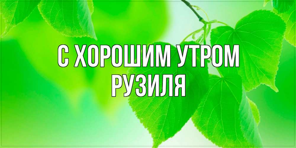 Открытка на каждый день с именем, Рузиля С хорошим утром доброе утро с березовыми листьями Прикольная открытка с пожеланием онлайн скачать бесплатно 