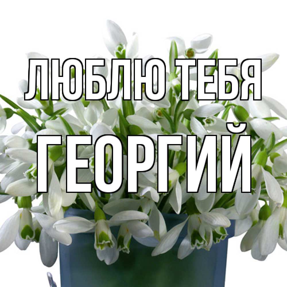 Открытка на каждый день с именем, Георгий Люблю тебя цветы к международному женскому дню Прикольная открытка с пожеланием онлайн скачать бесплатно 