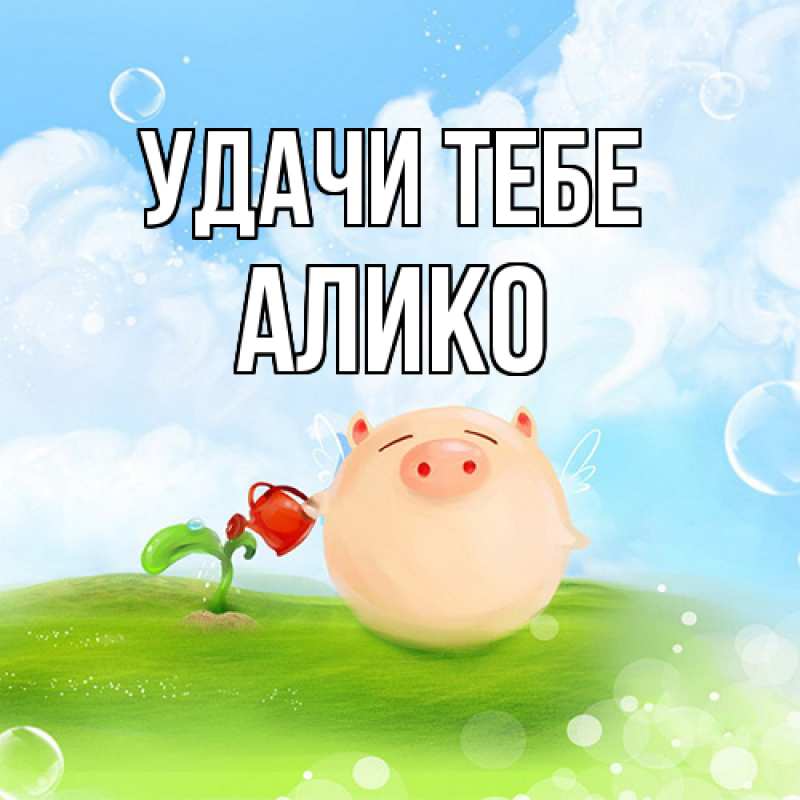 Картинка Удачи тебе, Алико