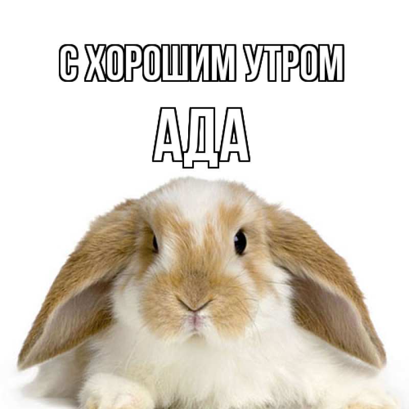 Картинка С хорошим утром, Ада