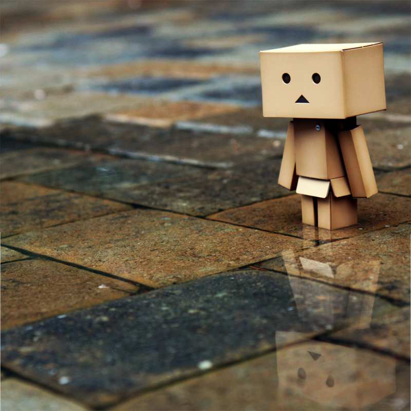 Картинка Скучашки, Богдан