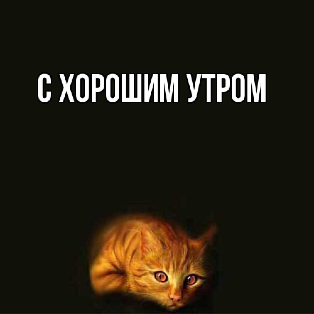 Открытка на каждый день с именем, Ануш Я жду тебя рыжий Прикольная открытка с пожеланием онлайн скачать бесплатно 