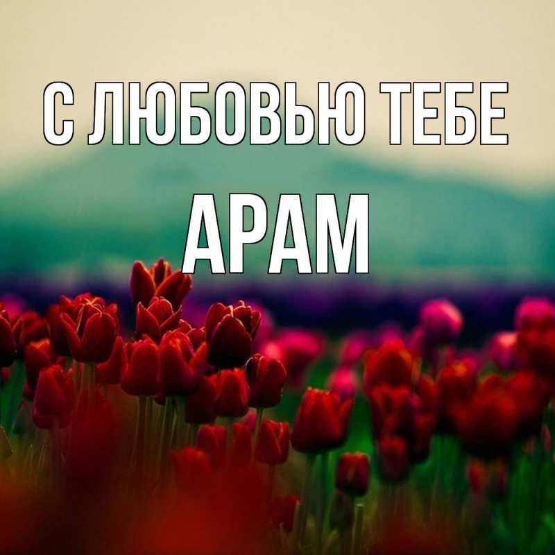 Картинка С любовью тебе, Арам