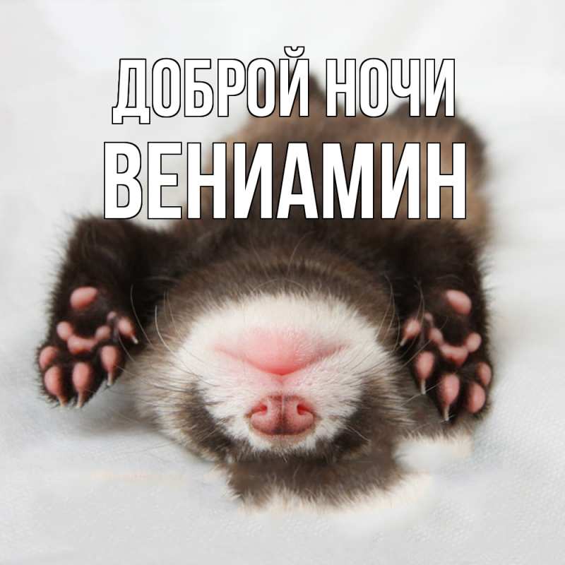 Картинка Доброй ночи, Вениамин