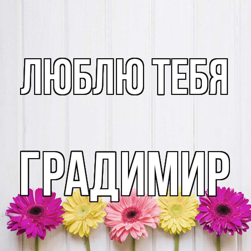 Открытка на каждый день с именем, Градимир Люблю тебя женщинам 1 Прикольная открытка с пожеланием онлайн скачать бесплатно 