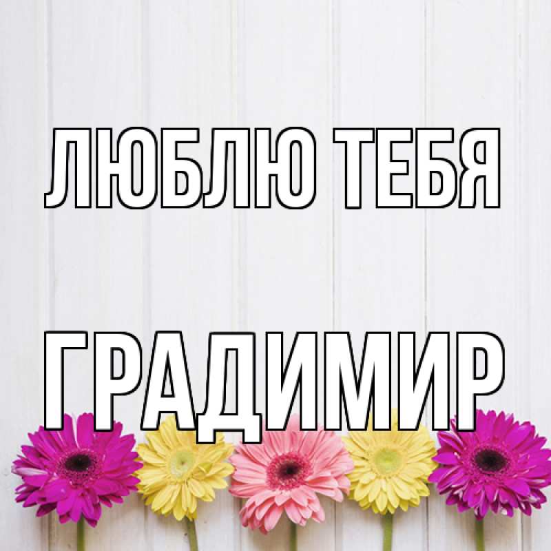 Картинка Люблю тебя, Градимир