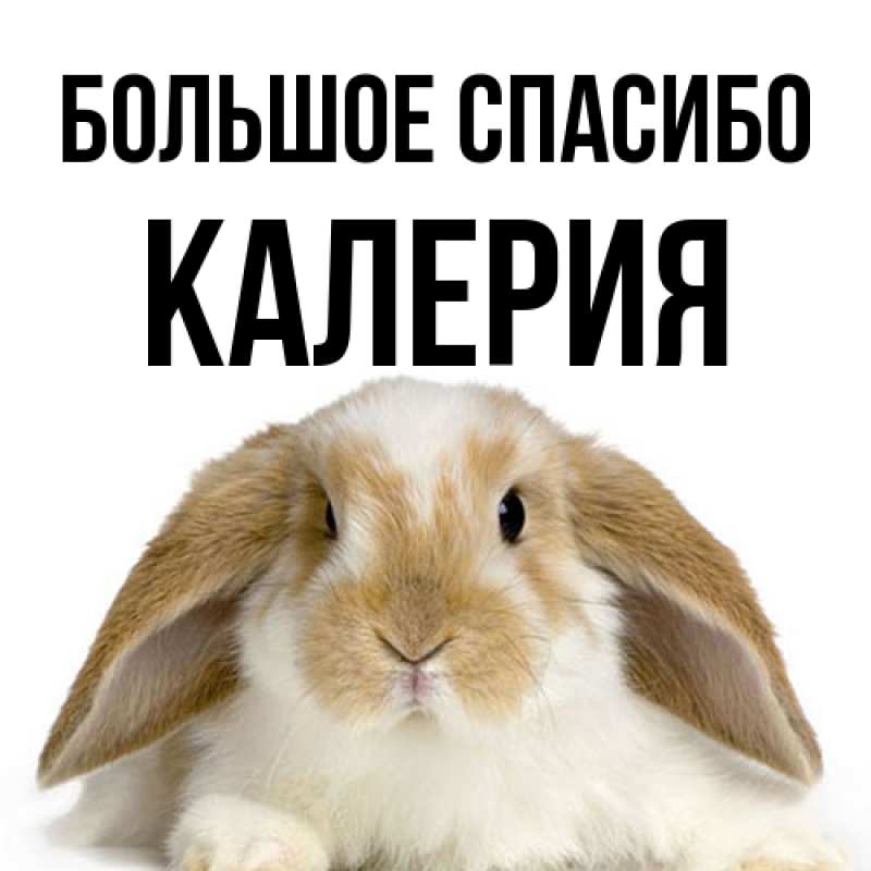 Картинка Большое спасибо, Калерия