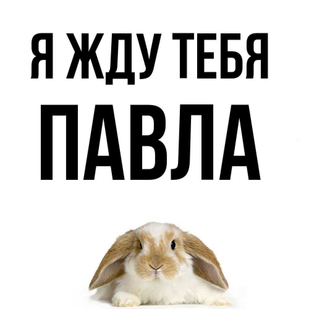 Открытка на каждый день с именем, Павла Я жду тебя подписать своими руками онлайн Прикольная открытка с пожеланием онлайн скачать бесплатно 