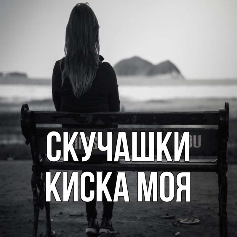 Картинка Скучашки, Киска моя