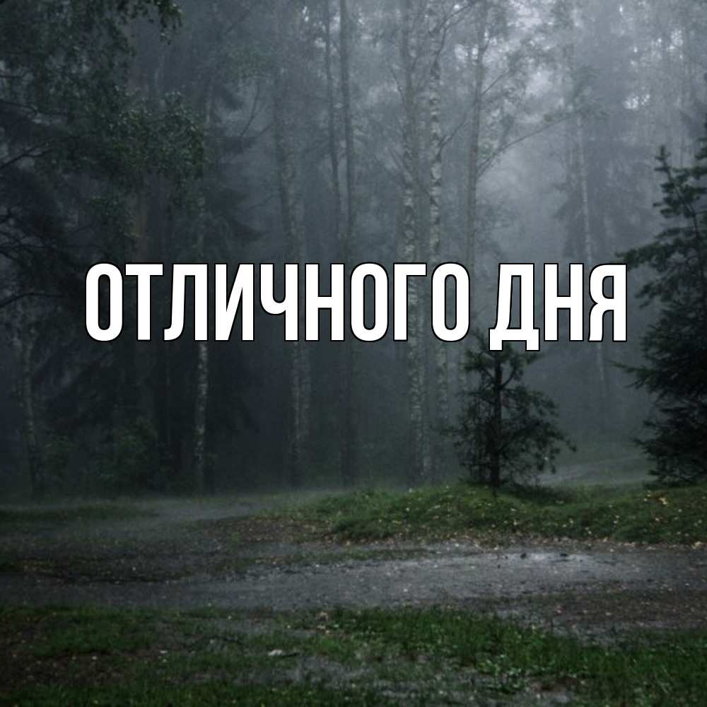 Открытка на каждый день с именем, Дима Скучашки одна и плохо мне Прикольная открытка с пожеланием онлайн скачать бесплатно 