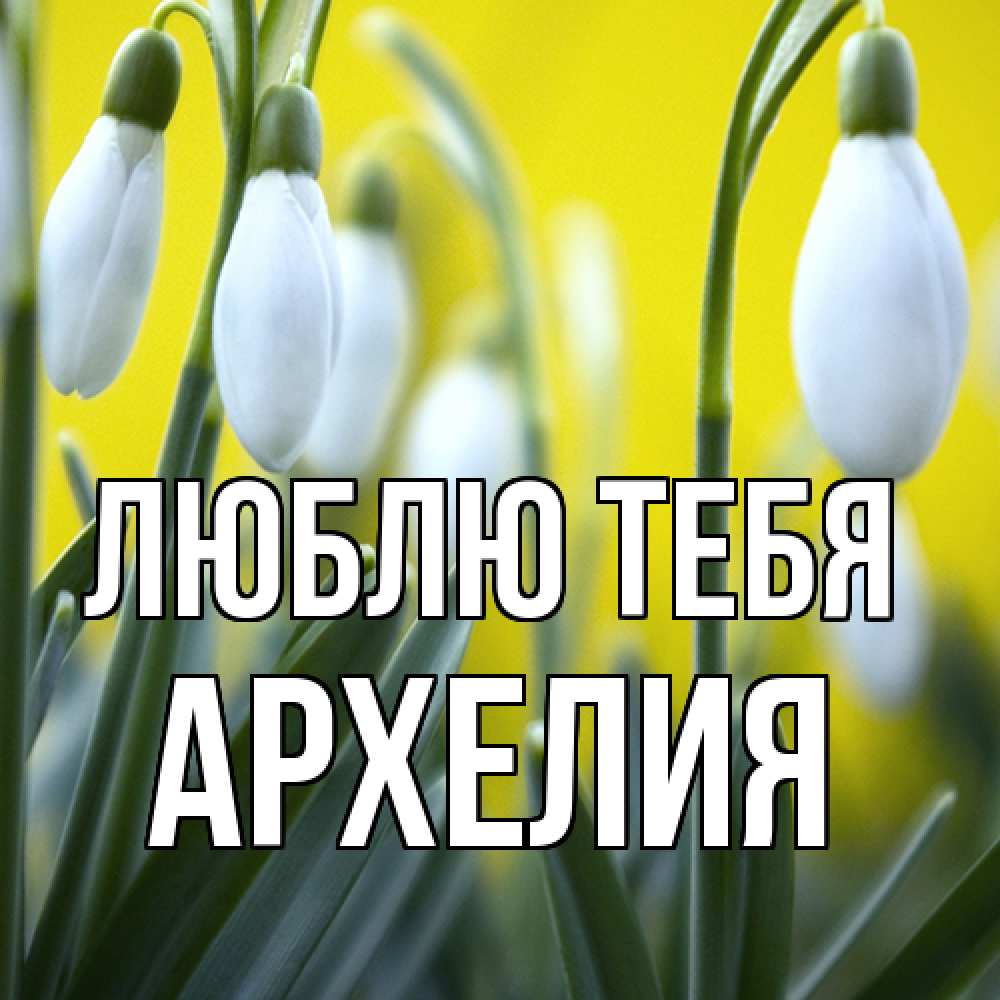 Открытка на каждый день с именем, Архелия Люблю тебя весенние цветы Прикольная открытка с пожеланием онлайн скачать бесплатно 