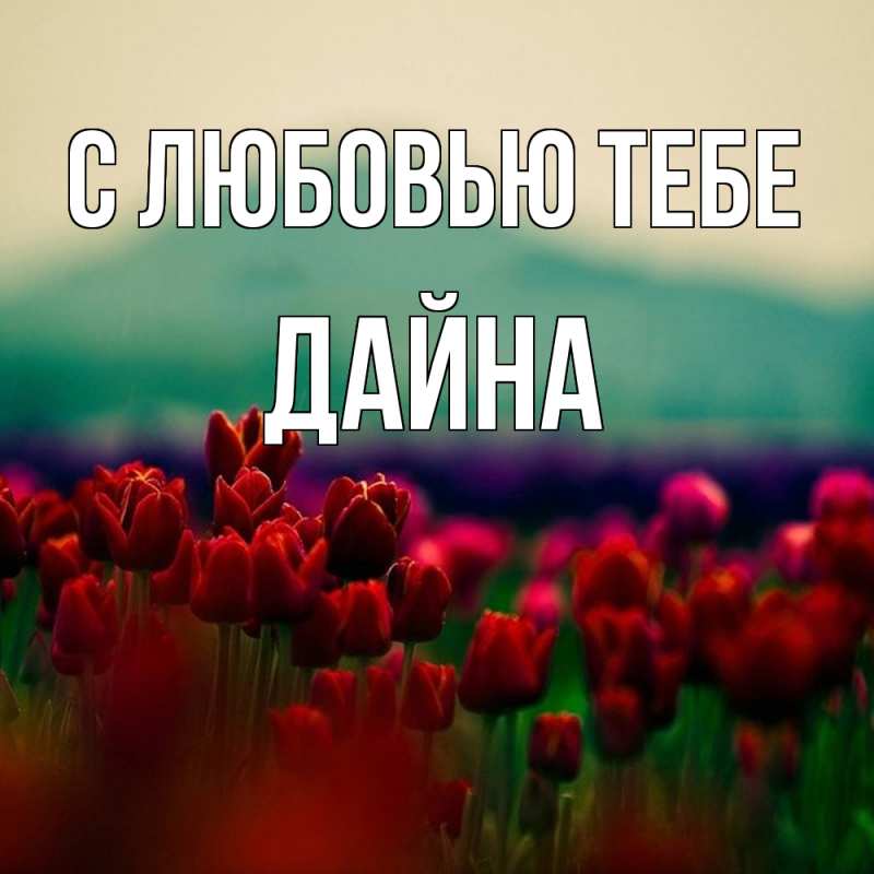 Картинка С любовью тебе, Дайна