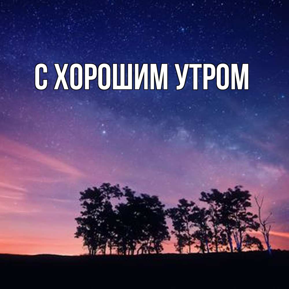 Открытка на каждый день с именем, Лейла Обнимашки силуэты деревьев Прикольная открытка с пожеланием онлайн скачать бесплатно 