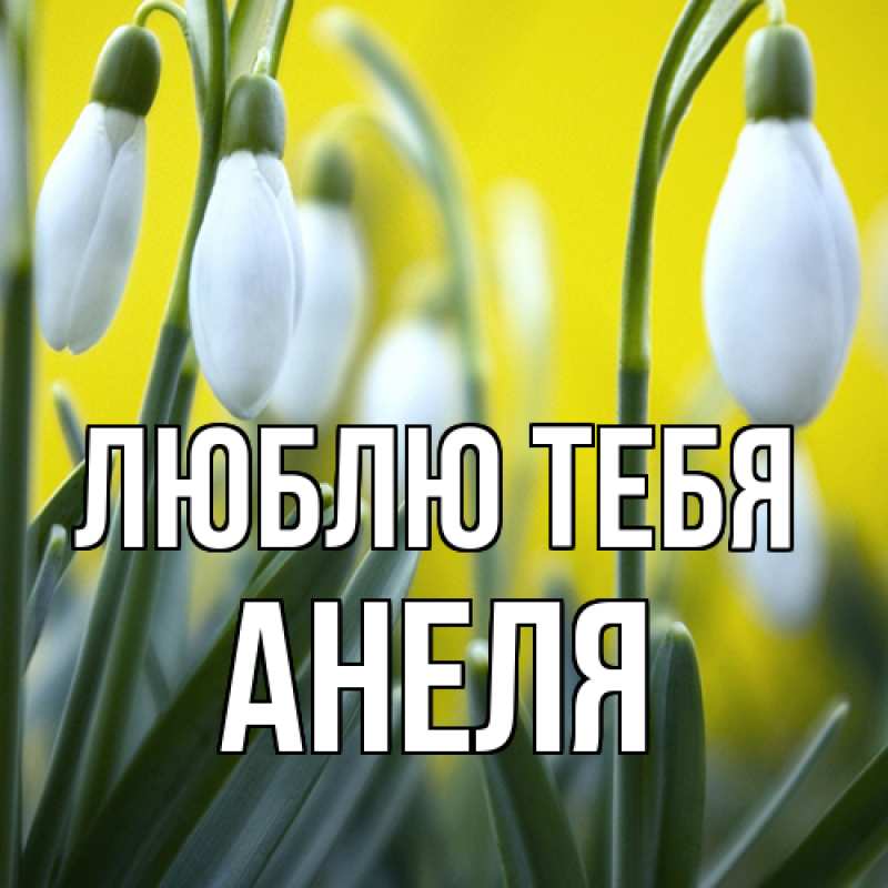 Картинка Люблю тебя, Анеля