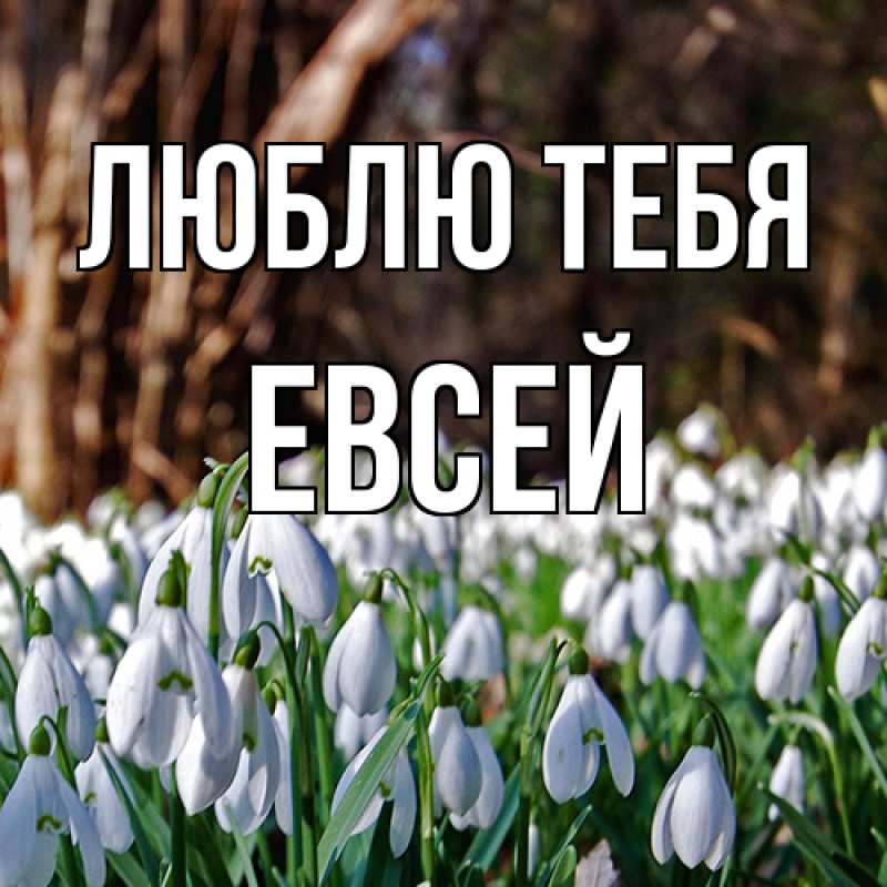 Открытка с именем, Евсей, Люблю тебя