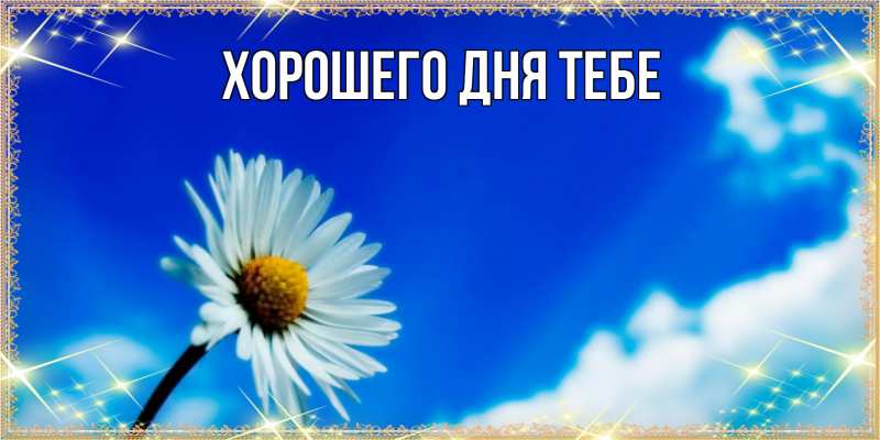 Картинка Люблю тебя, Гордон