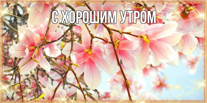 Картинка Люблю тебя, Арно