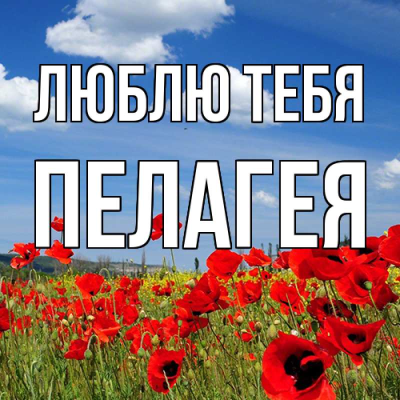 Картинка Люблю тебя, Пелагея