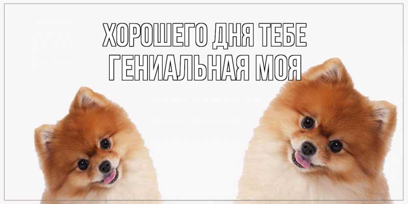 Картинка Хорошего дня тебе, Гениальная моя