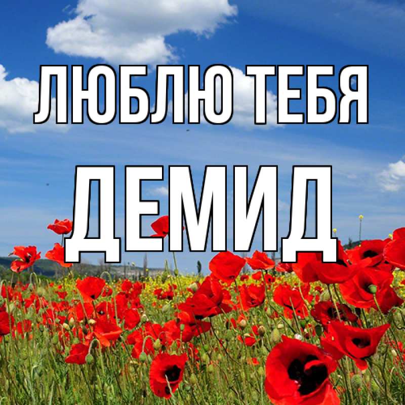 Картинка Люблю тебя, Демид