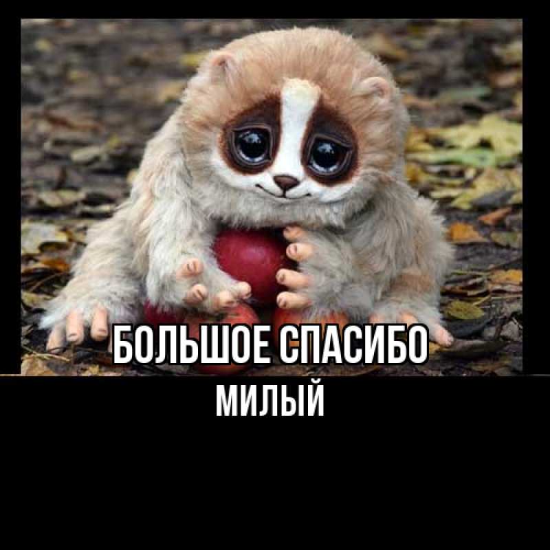 Картинка Большое спасибо, Милый