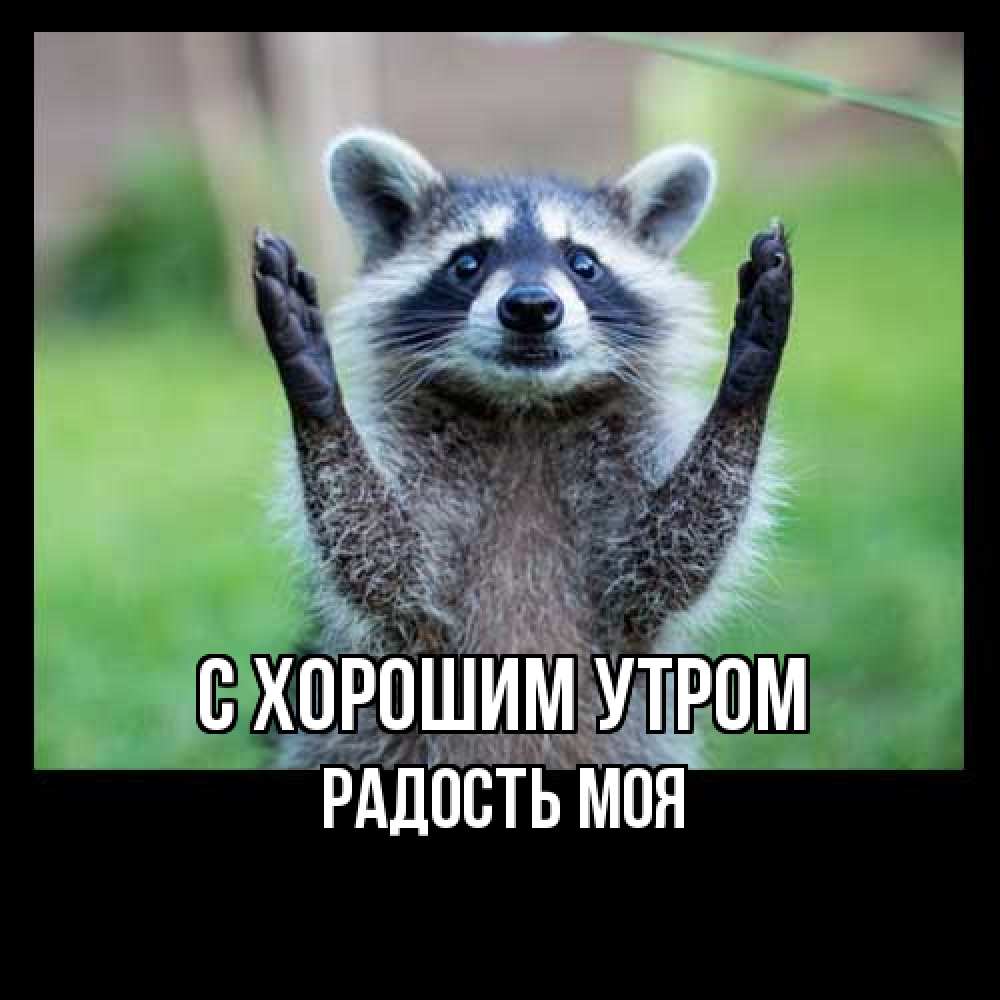 Открытка на каждый день с именем, Радость-моя С хорошим утром хорошее настроение утречком Прикольная открытка с пожеланием онлайн скачать бесплатно 