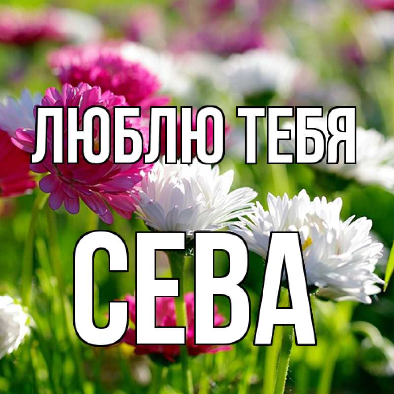Открытка с именем, Сева, Люблю тебя