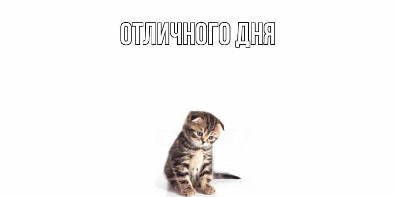 Открытка с именем, Вася, Скучашки