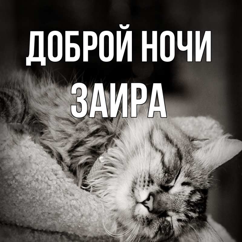 Картинка Доброй ночи, Заира