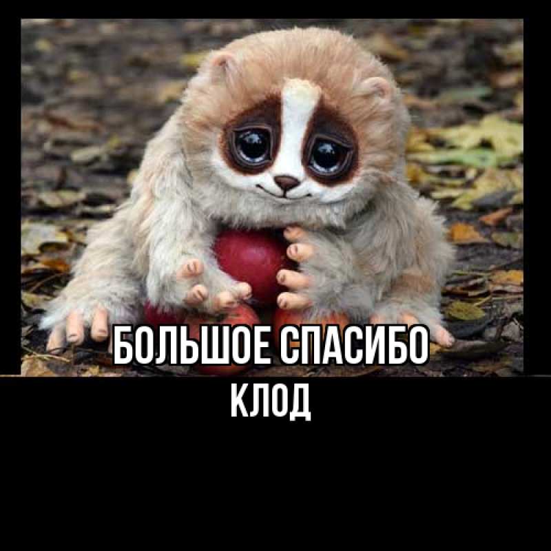 Картинка Большое спасибо, Клод