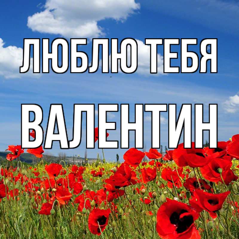 Картинка Люблю тебя, Валентин