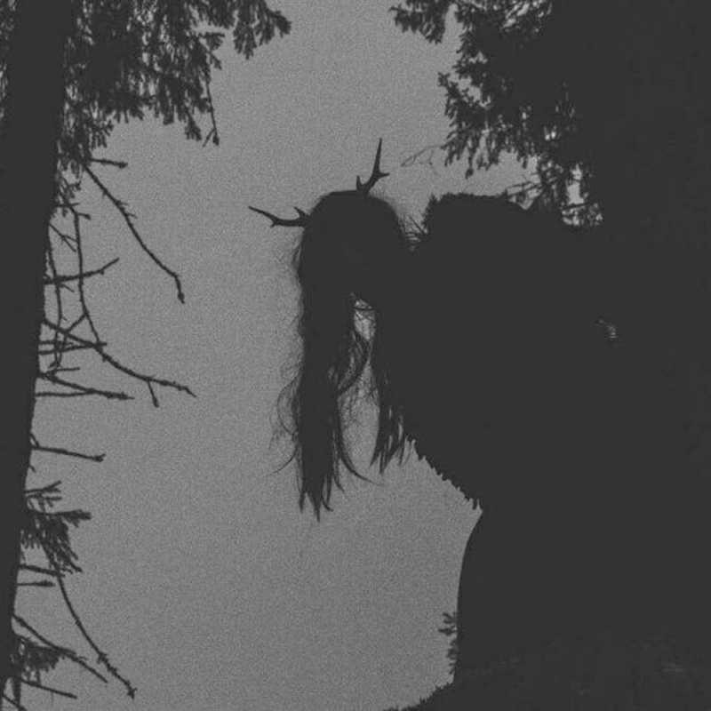 Открытка с именем, Наум, Скучашки