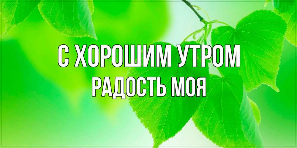 Открытка на каждый день с именем, Радость-моя С хорошим утром доброе утро с березовыми листьями Прикольная открытка с пожеланием онлайн скачать бесплатно 