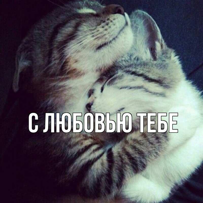 Открытка с именем, Сима, Обнимашки